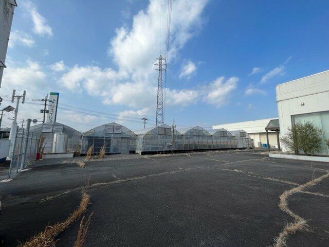 commercial 安心院町木裳