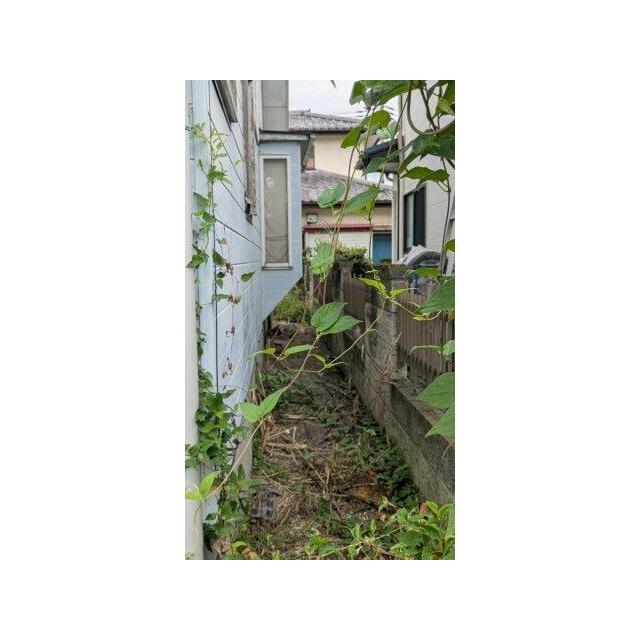 外回りのスペースです