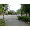 公園