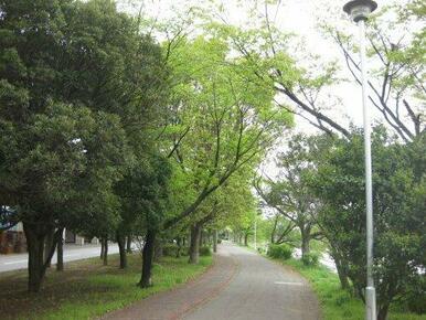 弦代公園（久喜市桜田4丁目）