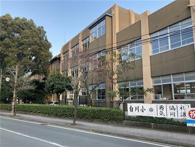 熊本市立白川小学校