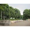 公園