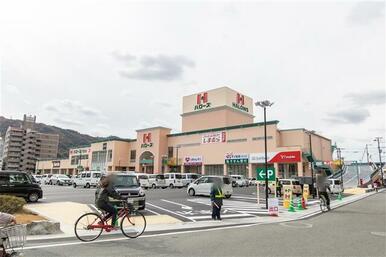 くすりのレデイ佐古店