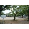 公園