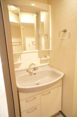 シャンプードレッサータイプの洗面台