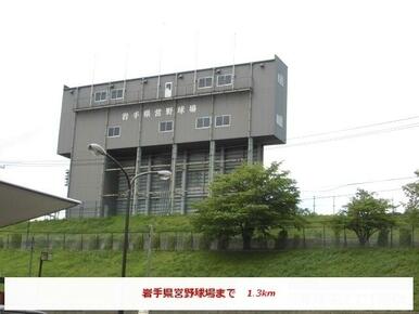 岩手県県営野球場