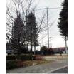 公園
