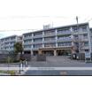 小学校