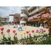 幼稚園、保育園