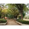 公園