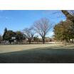 公園