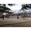 公園