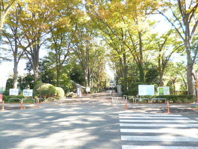 国立東京農工大学