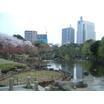 公園
