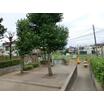公園
