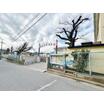幼稚園、保育園