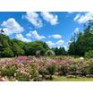 公園