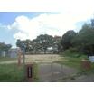 公園