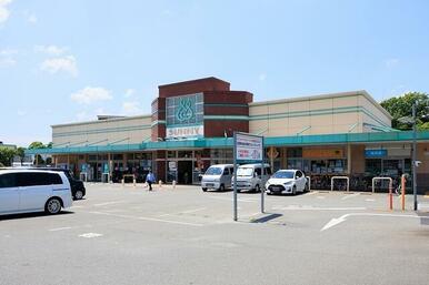 SUNNY 宝町店