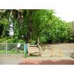 公園