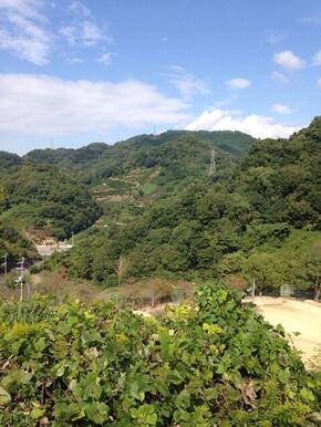 白水台北公園方面への眺望