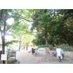 公園