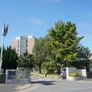 大学