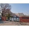 小学校