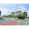 大学