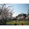 公園