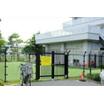 幼稚園、保育園