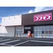 販売店