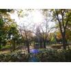 公園