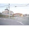 幼稚園、保育園
