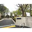 公園