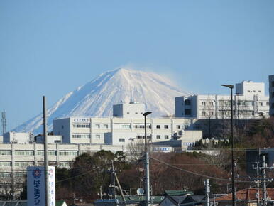 静岡大学静岡キャンパス