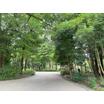 公園