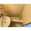 バス/シャワー