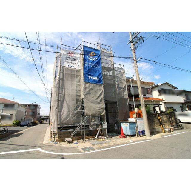 7月26日 南西から撮影