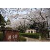 公園