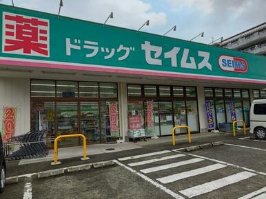 ドラッグ　セイムス　いぶき野店