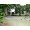 公園