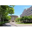 大学