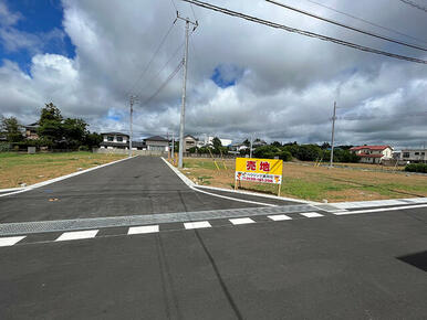 接道道路からの宅地全景