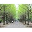 公園