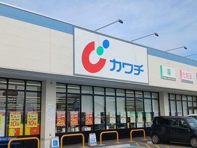 カワチ薬品　水沢水山店