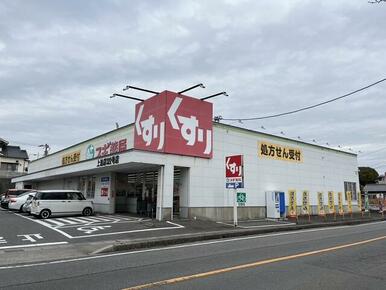 スギ薬局　上池店　約１，０００ｍ