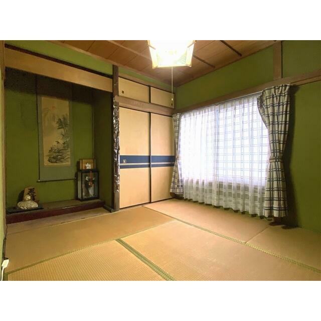 2023年10月撮影