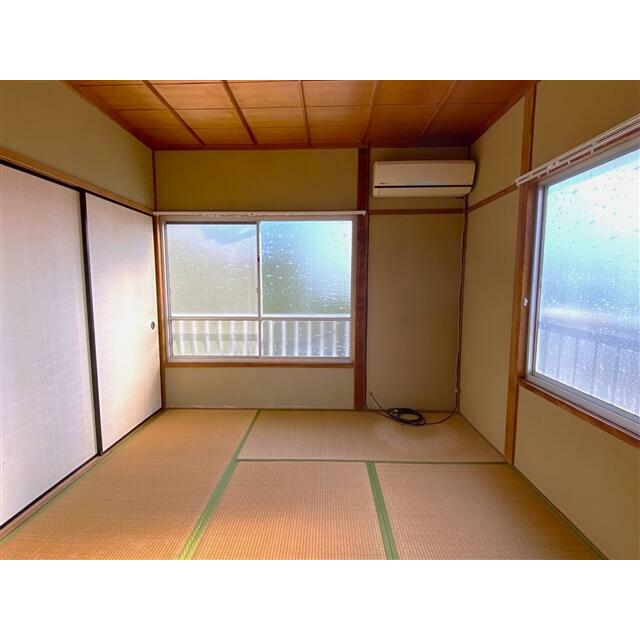 2023年10月撮影