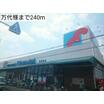 販売店